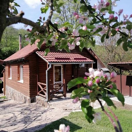 Зачаровані Карпати, Воловець 外观 照片