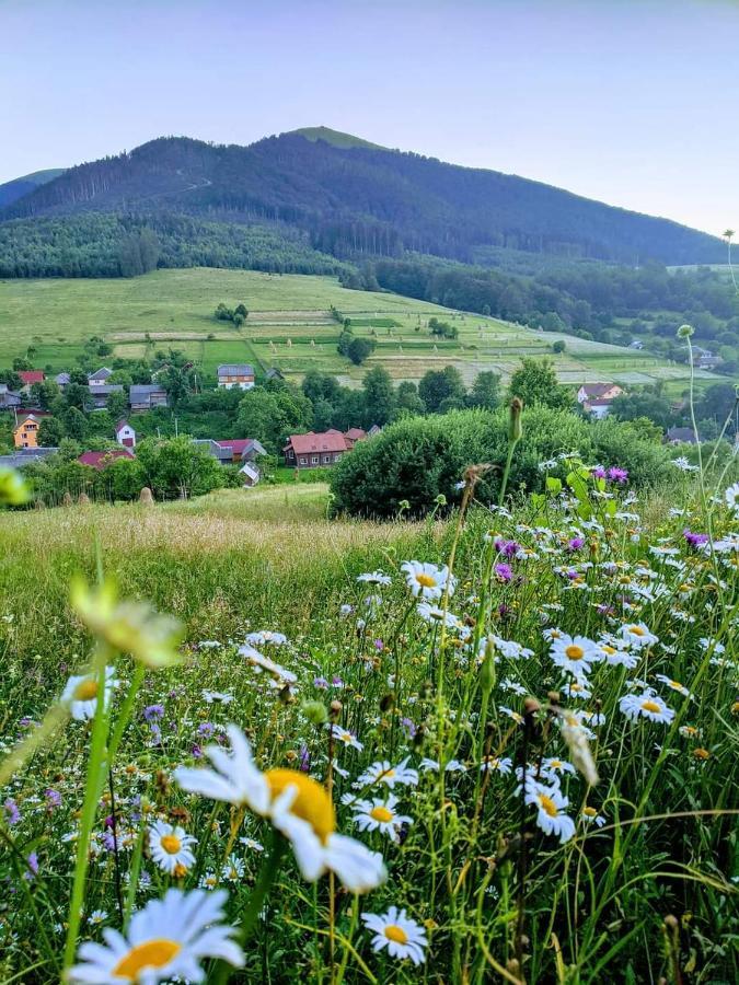 Зачаровані Карпати, Воловець 外观 照片